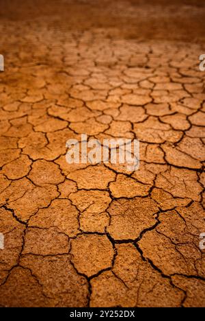 Trockener und geschälter Boden, ehemalige Salzproduktion, SES salines. Mongofre Nou. Menorca. Balearen. Spanien. Stockfoto