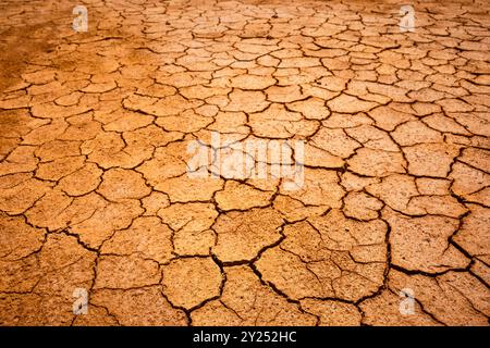 Trockener und geschälter Boden, ehemalige Salzproduktion, SES salines. Mongofre Nou. Menorca. Balearen. Spanien. Stockfoto