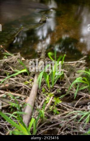 Alterswidrig, erstklassige Qualität, auffällig, herausragend, lange Belichtung, hochauflösendes Lochbild von Objekten im Fluss. gefühlvoll, faszinierend, absorbierend Stockfoto