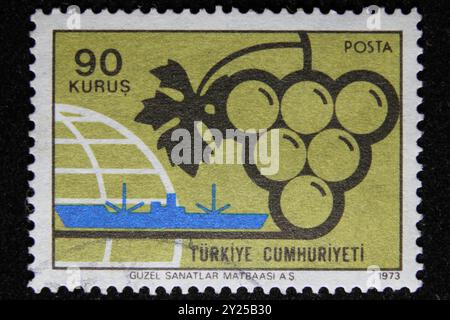 ISTANBUL, TÜRKEI - 25. DEZEMBER 2020: Türkischer Stempel zeigt Trauben und Schiff Stockfoto