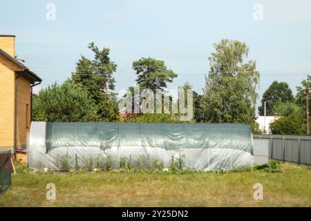 Ein großes Gewächshaus mit einem filmüberdachten Tunnel und niedrigen Mauern in einer Gartenumgebung. Der mit Folien bedeckte Tunnel und die niedrigen Wände sind die wichtigsten Merkmale, die es gibt Stockfoto