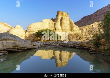 Blick auf die Zohar-Festung mit einer Winterpfütze, die Judaeische Wüste (Küste vom Toten Meer), das südliche Israel Stockfoto