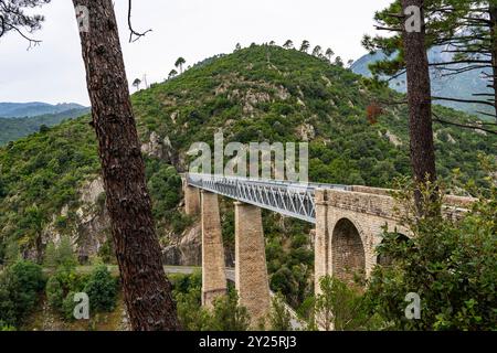 Viaduc sur le Vecchio Stockfoto