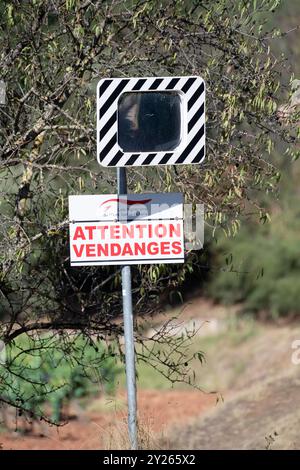 Straßenschild „Achtung: Ernte läuft“ am Eingang von Puyloubier, dem größten Weinberg in Bouches-du-Rhône, bekannt für seine AOC Côtes de Provence Stockfoto