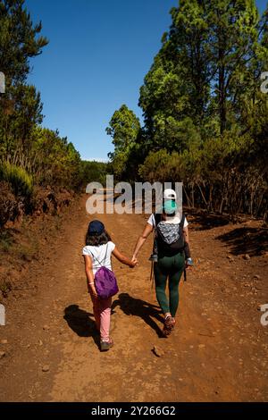 Eine Frau und ein Kind laufen einen Feldweg entlang. Die Frau trägt einen grünen Rucksack und das Kind einen lila Rucksack. Die Frau ist Holdi Stockfoto