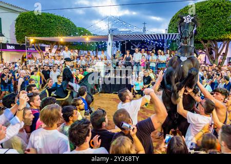 Traditioneller Pferdetanz „Jaleo“ aus dem 14. Jahrhundert, Festlichkeiten von Sant Lluís, Dorf Sant Lluís, Menorca, Balearen, Spanien. Stockfoto