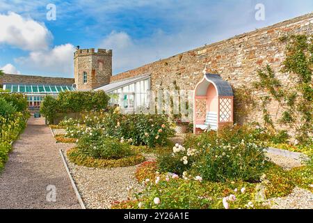 Castle & Gardens of Mey ummauerter Garten im Spätsommer der Muschelgarten mit Rosen und rosa Sitzbank Stockfoto