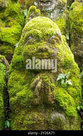 Nahaufnahme der moosbedeckten Steinstatue von rakan - dem Schüler Buddhas, Otagi Nenbutsu-JI Tempel, Kyoto, Japan Stockfoto