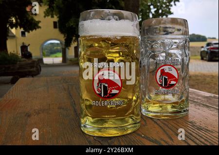 Prösslbräu Bier - Brauerei, Radler Halbe im Glaskrug im Biergarten in Adlersberg bei Pettendorf im Landkreis Regensburg *** Prösslbräu Bierbrauerei, Radler Halbe in einem Glasbecher im Biergarten in Adlersberg bei Pettendorf im Landkreis Regensburg Stockfoto