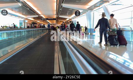 San Francisco, Kalifornien, USA. August 2024. Passagiere, die durch ein hell beleuchtetes Terminal am San Francisco International Airport mit Bewegung laufen Stockfoto