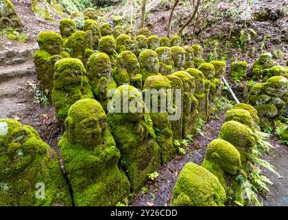 Moosbedeckte Steinstatuen von Rakanen - die Schüler Buddhas, Otagi Nenbutsu-JI Tempel, Kyoto, Japan Stockfoto