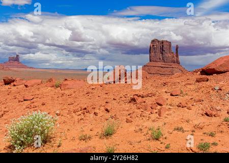 West Mitten butte, karge Vegetation auf dem Boden des Monument Valley unter dramatischem Himmel Stockfoto