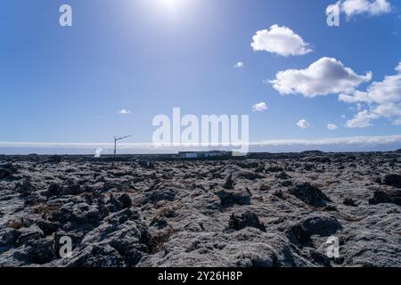 Leuchtende Flechten wachsen auf den schwarzen vulkanischen Felsen und bieten eine primitive Umgebung. Halbinsel Reykjavik, Island. Stockfoto