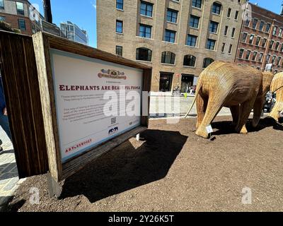 New York, USA. 24. September 2024, New York, New York, Vereinigte Staaten „The Great Elephant Migration“, eine öffentliche Kunstausstellung mit 100 lebensgroßen Skulpturen indischer Elefanten, die bis zum 20. Oktober 1999 im Meat Packing District ausgestellt werden. Coexistence Collective, eine Gemeinschaft von 200 einheimischen Handwerkern in Partnerschaft mit der NGO Elephant Family USA. Der Verkauf dieser Skulpturen profitiert von Naturschutzorganisationen aus aller Welt, die die Koexistenz von Wildtieren und Menschen unterstützen; die Preise reichen von 8.000 US-Dollar für ein Baby bis zu 22.000 US-Dollar für einen Stier mit Stoßzähnen. Quelle: Jennifer Graylock/Alamy Live News Stockfoto