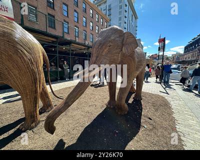 New York, USA. 24. September 2024, New York, New York, Vereinigte Staaten „The Great Elephant Migration“, eine öffentliche Kunstausstellung mit 100 lebensgroßen Skulpturen indischer Elefanten, die bis zum 20. Oktober 1999 im Meat Packing District ausgestellt werden. Coexistence Collective, eine Gemeinschaft von 200 einheimischen Handwerkern in Partnerschaft mit der NGO Elephant Family USA. Der Verkauf dieser Skulpturen profitiert von Naturschutzorganisationen aus aller Welt, die die Koexistenz von Wildtieren und Menschen unterstützen; die Preise reichen von 8.000 US-Dollar für ein Baby bis zu 22.000 US-Dollar für einen Stier mit Stoßzähnen. Quelle: Jennifer Graylock/Alamy Live News Stockfoto