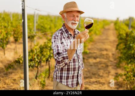 Der Hausmeister hält ein Glas tiefen Rotweins und lächelt, während er zwischen den Reihen von Weinreben steht, die vom sanften Leuchten der untergehenden Sonne beleuchtet werden Stockfoto