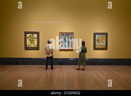 DIE PHILADELPHIA SONNENBLUMEN WURDEN URSPRÜNGLICH BEI VAN GOGHS FREUNDEN MR. UND MRS. GINOUX IN ARLES HINTERLASSEN UND VON GEKAUFT HERR CARROL TYSON AUS CHETNUT HILL PHILADELPHIA 1935, BEVOR ER 1963 VOM PHILADELPHIA MUSEUM OF ART ERWORBEN WURDE . DIE LONDONER SONNENBLUMEN WURDEN IM MAI 1889 AN VAN GOGHS BRUDER THEO GESCHICKT UND BLIEBEN BIS ZUM DIE NATIONAL GALLERY KAUFTE DAS BILD 1924. DIE BEIDEN BILDER WURDEN SEIT ANFANG 1889 IM STUDIO DES KÜNSTLERS NIE ZUSAMMEN AUSGESTELLT . DIE BEIDEN SONNENBLUMEN WERDEN NEBEN LA BERCEUSE (1888) SEIN SYMBOLISCHES PORTRÄT EINER FRAU MIT CRADE-SCHNUR GEZEIGT Stockfoto