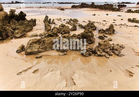 Cantabria, Strand Trengandin in der Stadt Noja, mit Karstformationen, die bei Ebbe sichtbar werden Stockfoto