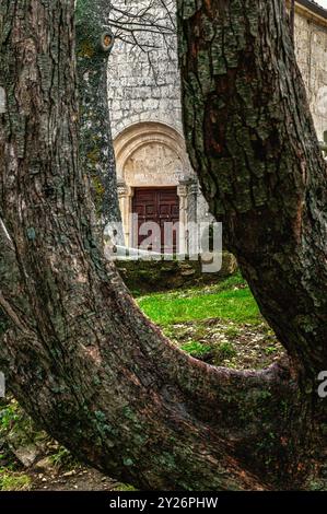 Werfen Sie einen Blick zwischen den verdrehten Bäumen der Fassade und dem Hauptportal der Eremitage der Madonna della Mazza in Pretoro. Pretoro, Abruzzen Stockfoto