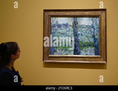 DIE PHILADELPHIA SONNENBLUMEN WURDEN URSPRÜNGLICH BEI VAN GOGHS FREUNDEN MR. UND MRS. GINOUX IN ARLES HINTERLASSEN UND VON GEKAUFT HERR CARROL TYSON AUS CHETNUT HILL PHILADELPHIA 1935, BEVOR ER 1963 VOM PHILADELPHIA MUSEUM OF ART ERWORBEN WURDE . DIE LONDONER SONNENBLUMEN WURDEN IM MAI 1889 AN VAN GOGHS BRUDER THEO GESCHICKT UND BLIEBEN BIS ZUM DIE NATIONAL GALLERY KAUFTE DAS BILD 1924. DIE BEIDEN BILDER WURDEN SEIT ANFANG 1889 IM STUDIO DES KÜNSTLERS NIE ZUSAMMEN AUSGESTELLT . DIE BEIDEN SONNENBLUMEN WERDEN NEBEN LA BERCEUSE (1888) SEIN SYMBOLISCHES PORTRÄT EINER FRAU MIT CRADE-SCHNUR GEZEIGT Stockfoto