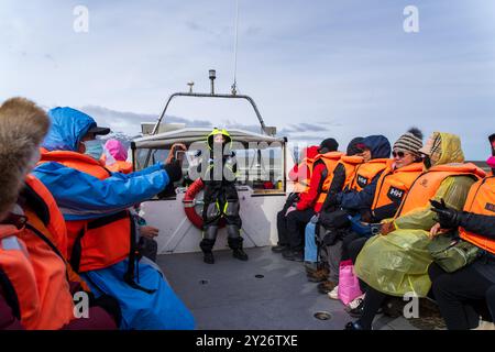 Reykjavik, Island - 5. Mai 2024: Touristen hatten eine tolle Zeit, die Gletscherlagune von Jokulsarlon in einem Amphibienfahrzeug zu erkunden. Sie genossen die einzigartige Erfahrung Stockfoto