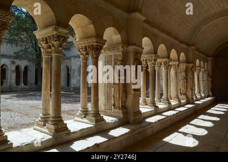 Romanische Skulpturen und Säulen im Kreuzgang der Kirche St. Trophime in Arles, Provence, Frankreich Stockfoto