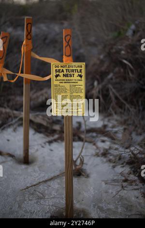 Nahaufnahme des gelben Warnschilds am Strand, das Meeresschildkrötennest im Sand abklebt. Umweltschutz und gefährdeter Artenschutz Stockfoto