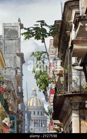 700 unterschiedlich hohe Gebäude auf beiden Seiten der Calle Brasil oder der Teniente Rey Street mit dem Capitolio (Nationalkapitol) im Hintergrund. Havanna-Kuba. Stockfoto