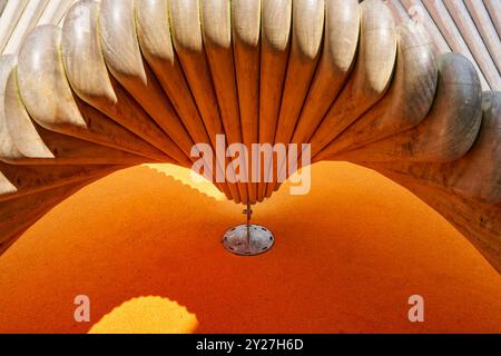 Geschwungenes symetrisches Holzobjekt im Sonnenlicht Stockfoto