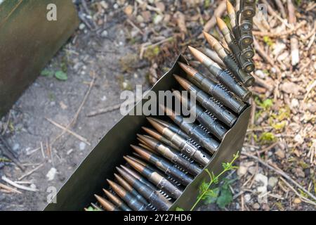 7,62 mm Munitionsgürtel für Maschinengewehre in einer Kiste Stockfoto