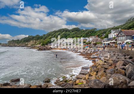 Café in Steephill Cove, in der Nähe von Ventnor, Isle of Wight, England, Großbritannien Stockfoto