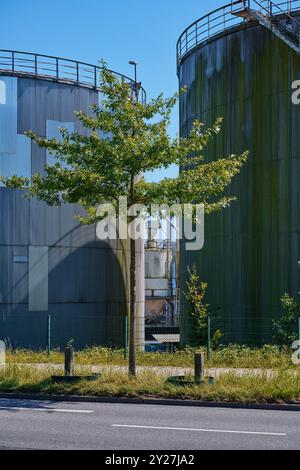 Verwitterte Öltanks mit Pazina im Sonnenschein Stockfoto