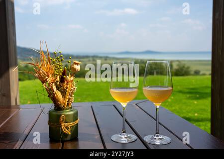 Weingläser auf dem Tisch mit wunderschönem Balaton Hintergrund Stockfoto