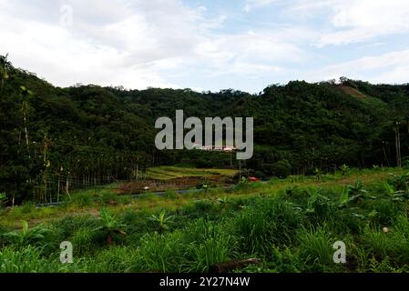 Taiwan, Nantou. In der Fotorandschaft des Tals. NUR REDAKTIONELLE VERWENDUNG! NICHT FÜR KOMMERZIELLE ZWECKE! Stockfoto