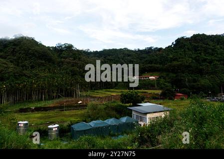 Taiwan, Nantou. In der Fotorandschaft des Tals. NUR REDAKTIONELLE VERWENDUNG! NICHT FÜR KOMMERZIELLE ZWECKE! Stockfoto