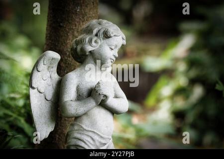 Kleiner weißer betender Engel oder Putti mit Flügeln auf einem Friedhof in einer bewaldeten Umgebung mit verschwommenem Hintergrund Stockfoto