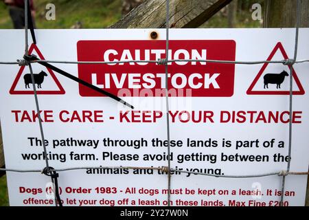 Vorsicht Schild für Viehzucht auf landwirtschaftlichen Flächen mit öffentlichem Recht Zugang zum ulster Way Nordküste Nordirland vereinigtes königreich Stockfoto