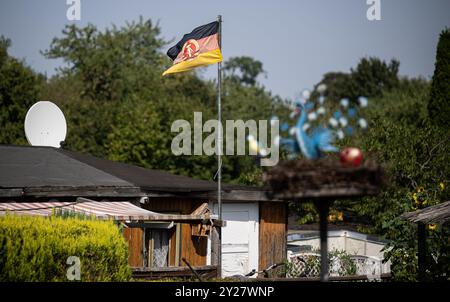 Meuselwitz, Deutschland. September 2024. Eine DDR-Flagge fliegt in einem Kleingarten. Quelle: Hannes P. Albert/dpa/Alamy Live News Stockfoto