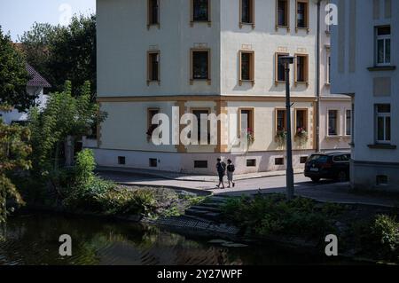 Meuselwitz, Deutschland. September 2024. Zwei Leute laufen am Mühlenteich in Meuselwitz entlang. Quelle: Hannes P. Albert/dpa/Alamy Live News Stockfoto