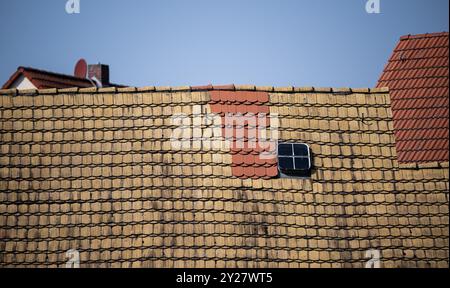 Meuselwitz, Deutschland. September 2024. Blick auf unterschiedlich farbige Hausdächer in Meuselwitz. Quelle: Hannes P. Albert/dpa/Alamy Live News Stockfoto