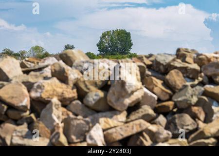 Old Rocks Framing a Tree: Top of the World Concept at Ancient Stobi (359 v. Chr.) Stockfoto