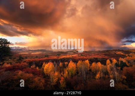 Malerische Herbstlandschaft und farbenfroher Sonnenaufgang über Herbstlaub an der Dallas Divide in den San Juan Mountains von Colorado. Stockfoto