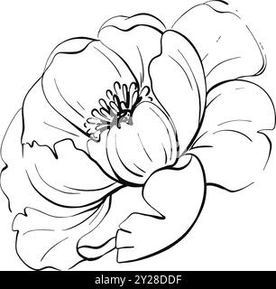 Vintage Rosenpfingstrosen, Frühlingsblume für Design, Hochzeit, Textil, Grußkarten. Isoliert. Botanische Illustration im Retro-Look. Grafikvektor Stock Vektor