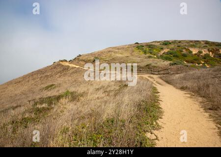 Point Reyes National Seashore liegt im Marin County an der Pazifikküste Nordkaliforniens in den Vereinigten Staaten. Stockfoto