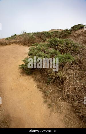Point Reyes National Seashore liegt im Marin County an der Pazifikküste Nordkaliforniens in den Vereinigten Staaten. Stockfoto