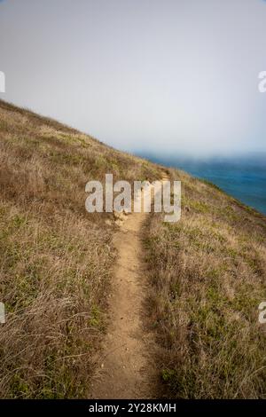 Point Reyes National Seashore liegt im Marin County an der Pazifikküste Nordkaliforniens in den Vereinigten Staaten. Stockfoto