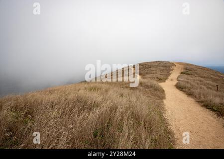 Point Reyes National Seashore liegt im Marin County an der Pazifikküste Nordkaliforniens in den Vereinigten Staaten. Stockfoto