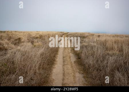 Point Reyes National Seashore liegt im Marin County an der Pazifikküste Nordkaliforniens in den Vereinigten Staaten. Stockfoto