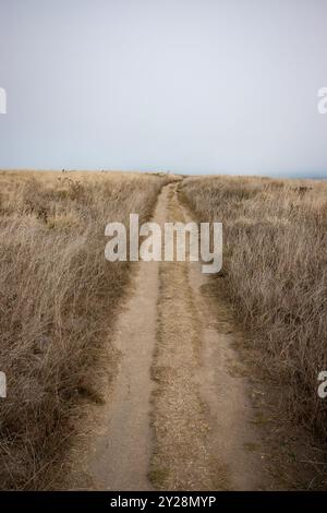 Point Reyes National Seashore liegt im Marin County an der Pazifikküste Nordkaliforniens in den Vereinigten Staaten. Stockfoto