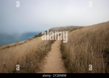 Point Reyes National Seashore liegt im Marin County an der Pazifikküste Nordkaliforniens in den Vereinigten Staaten. Stockfoto